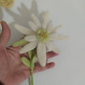 Needle Felting Edelweiss Flowers Figurine Wool Edelweiss Ornament Wool Flowers Needle Felted Flower Gift for Home or Friends Gift wrapped