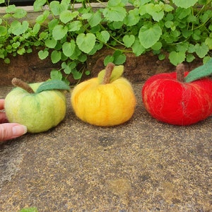 Needle felted Apple Wool Apple Figurine Needle Felted Fruit Apple Ornament Kitchen Decor Farmhouse Decor Home decoration or Gift for Home