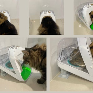 May include: A white automatic pet feeder with a clear plastic top and a green food bowl. A cat is eating from the bowl.