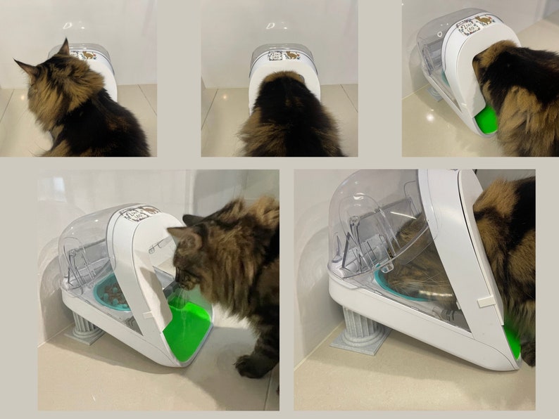 May include: A white automatic pet feeder with a clear plastic top and a green food bowl. A cat is eating from the bowl.