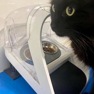 Puede incluir: Un comedero automático para mascotas con un recipiente de plástico transparente para guardar comida y un cuenco de acero inoxidable lleno de comida seca. Un gato negro está mirando el comedero. El comedero es blanco y gris.
