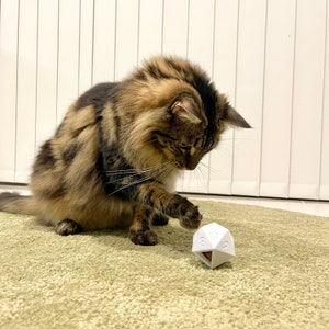 Cat Toy Pack, x 2 Toys | D20 Treat Dispenser for Cats &  Ball in Ball Cat Toy | 3D Printed In Custom Colors