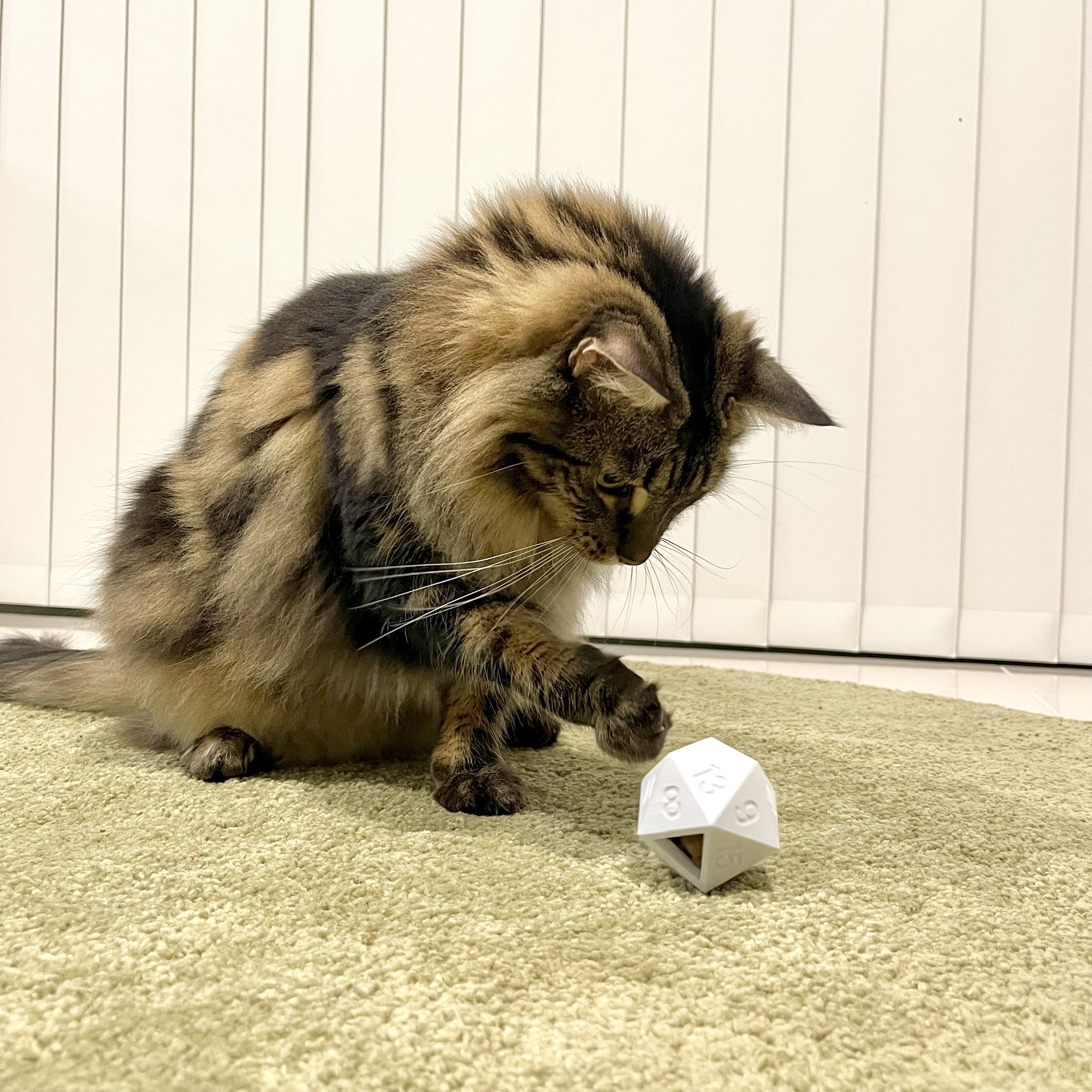 Cat Toy Pack, x 2 Toys | D20 Treat Dispenser for Cats &  Ball in Ball Cat Toy | 3D Printed In Custom Colors