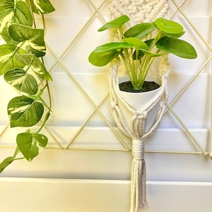 May include: A white macrame plant hanger with a white pot and a green plant. The hanger is hanging from a white wall with a metal grid behind it.
