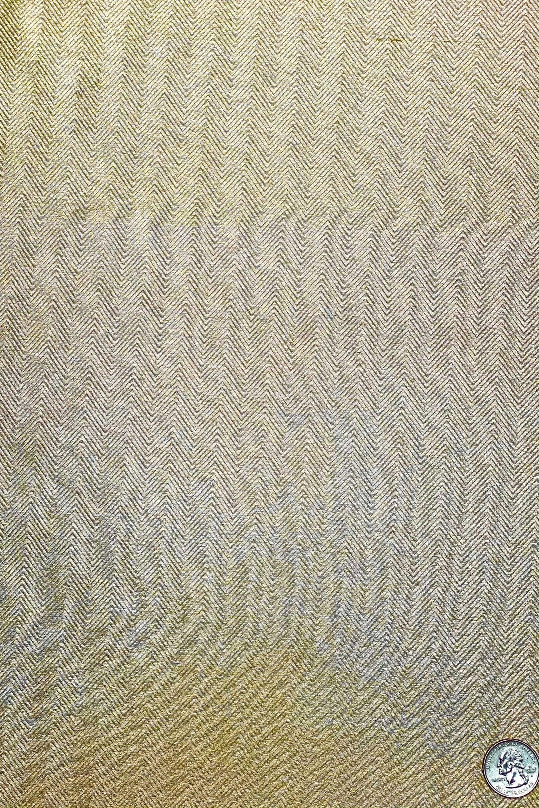 Beige/Gold JV-1636 Silk Brocade main image 1