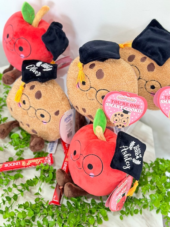 Smarty Graduation Teddy Bear Plush Gift - Class of 2014 テディベア 