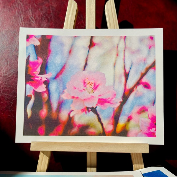 Soft Spring Blossoms #3: Japanese Cherry - Risograph Art Print 8 x 10