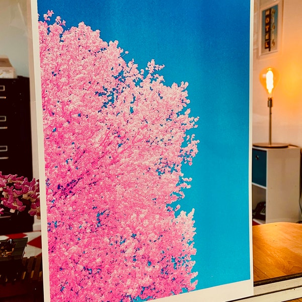 Spring Blossom 3 Color Risograph Print - 11 x 17 - Aqua, Blue, Fluorescent Pink - Riso Springtime