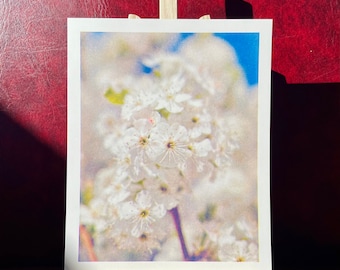 Soft Spring Blossoms #1: Mexican Plum - Risograph Art Print 8 x 10