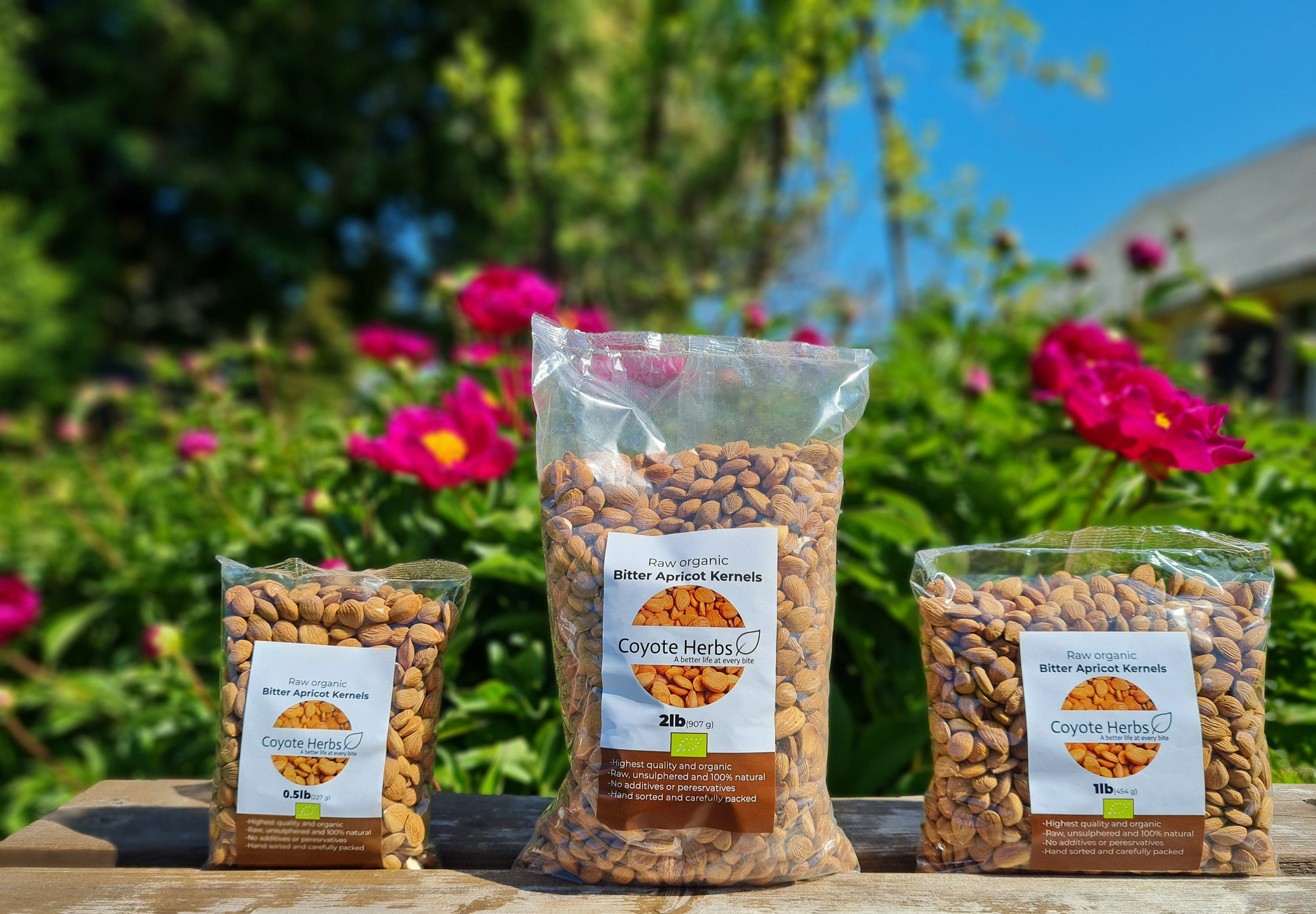 Bitter Apricot Apricot Etsy