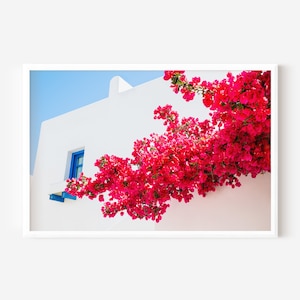 Impresión fotográfica de buganvilla griega / Descarga digital / Impresión de arte Grecia / Impresión de arte BoHo / Flores de arte de pared / Impresión de arte mediterráneo