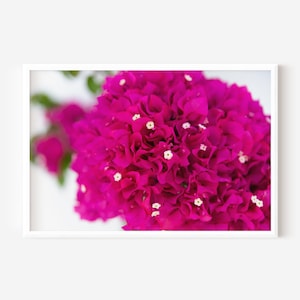 Impresión de buganvilla griega / Descarga digital / Impresión de arte Grecia / Impresión de arte BoHo / Flores de arte de pared / Impresión de arte mediterráneo