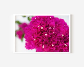 Bougainvillea Flower Print | Greece BoHo Wall Art (Digital Download)