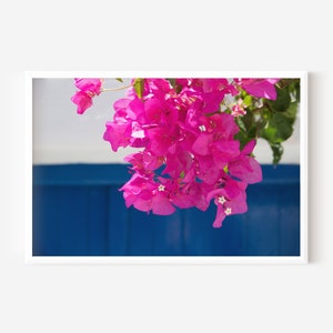 Impresión de buganvilla griega / Descarga digital / Impresión de arte Grecia / Impresión de arte BoHo / Flores de arte de pared / Impresión de arte mediterráneo
