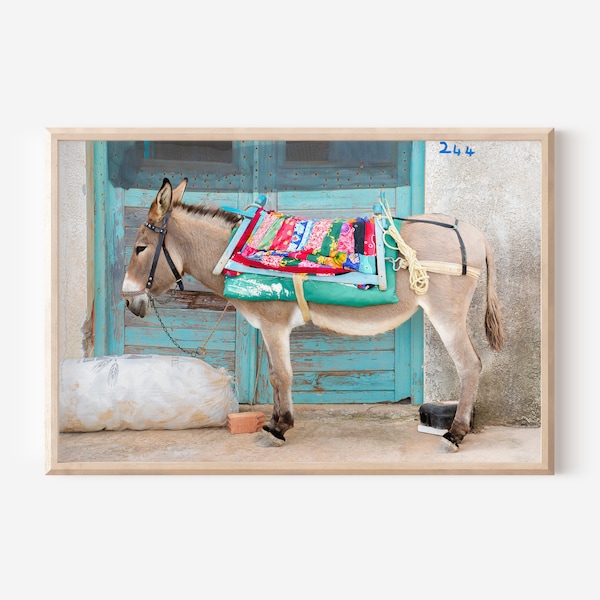 Greek Donkey | Digital download | Wall Art Greece | Mediterranean Art Print | Greece Art Print | Boho Art Print | Animal Art Print