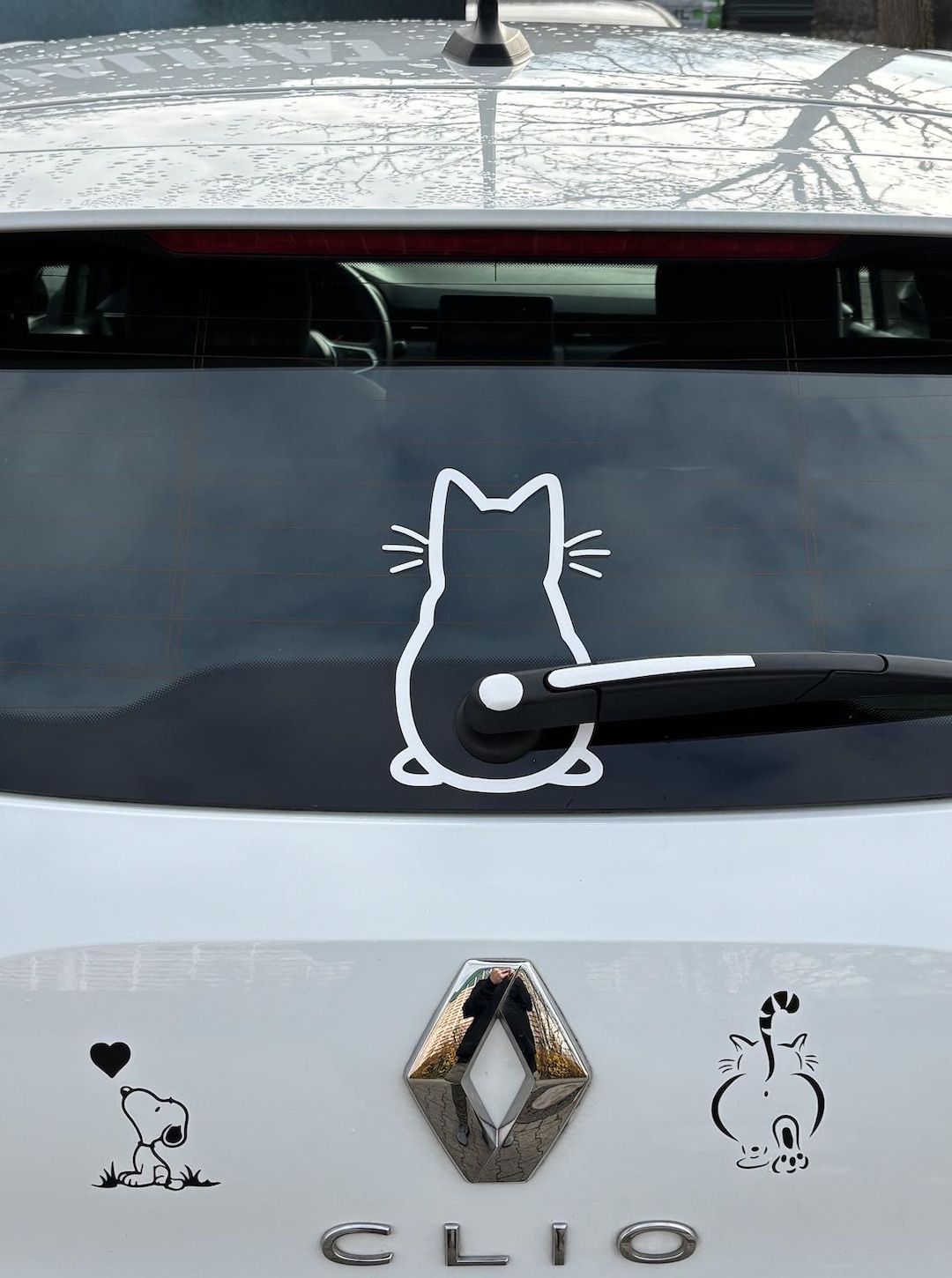 Cat Sticker for the Rear Window | Cat | Windscreen Wiper | Tail ...