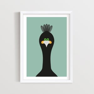 Shag Print, Seabird Print, Nautical Nursery Art, Seaside Decor for Bathroom, Coastal Bird Print, Seabird Decor, Coastal Wall Art, Ocean Bird