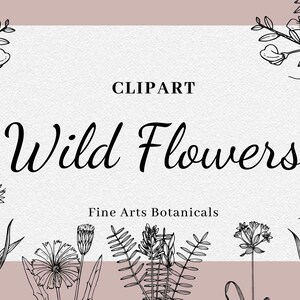 Wildflowers Set - Floral - Flower Sketch -Png, Psd y Jpg  - Vector - fine art wedding -botanical line art -Descarga Digital
