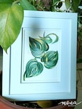 Handcrafted Quilled Ever Green Money Plant Frame - Unique Wall Art - Customizable Gift Idea product logo