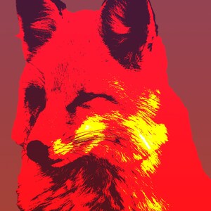 Original Art Download | Colorful Fox |  Downloadable Print
