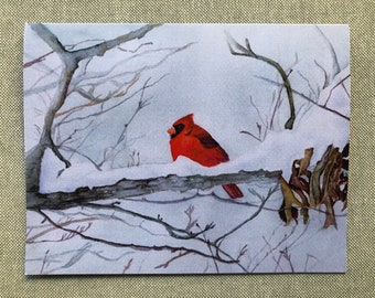 Northern Cardinal in Snow