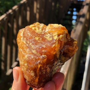 May include: A large, irregularly shaped piece of amber with a warm, honey-like color. The amber has a smooth, polished surface and is translucent, allowing light to pass through it.
