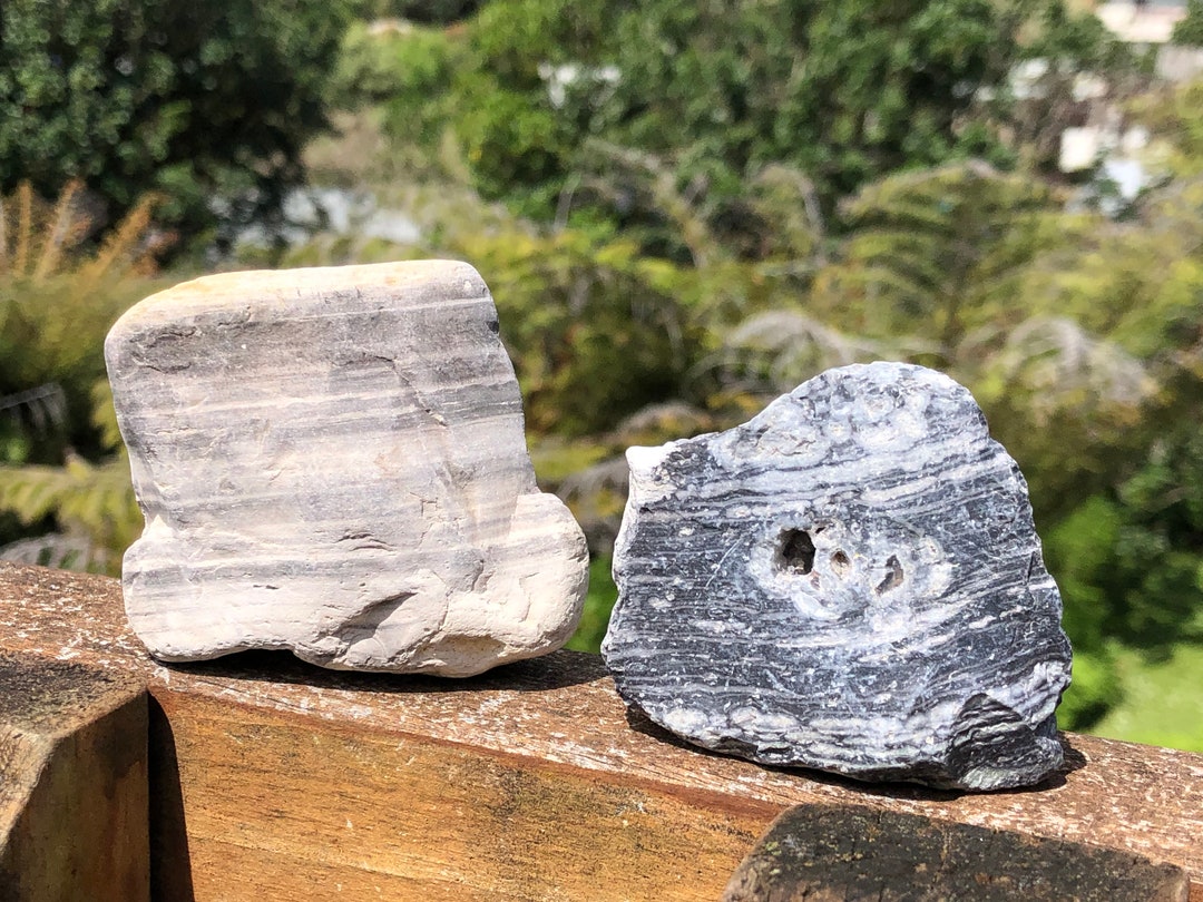 Riatloo Rocks Pair of STRIPED Rhyolite Rocks, Paeroa, New Zealand - Etsy