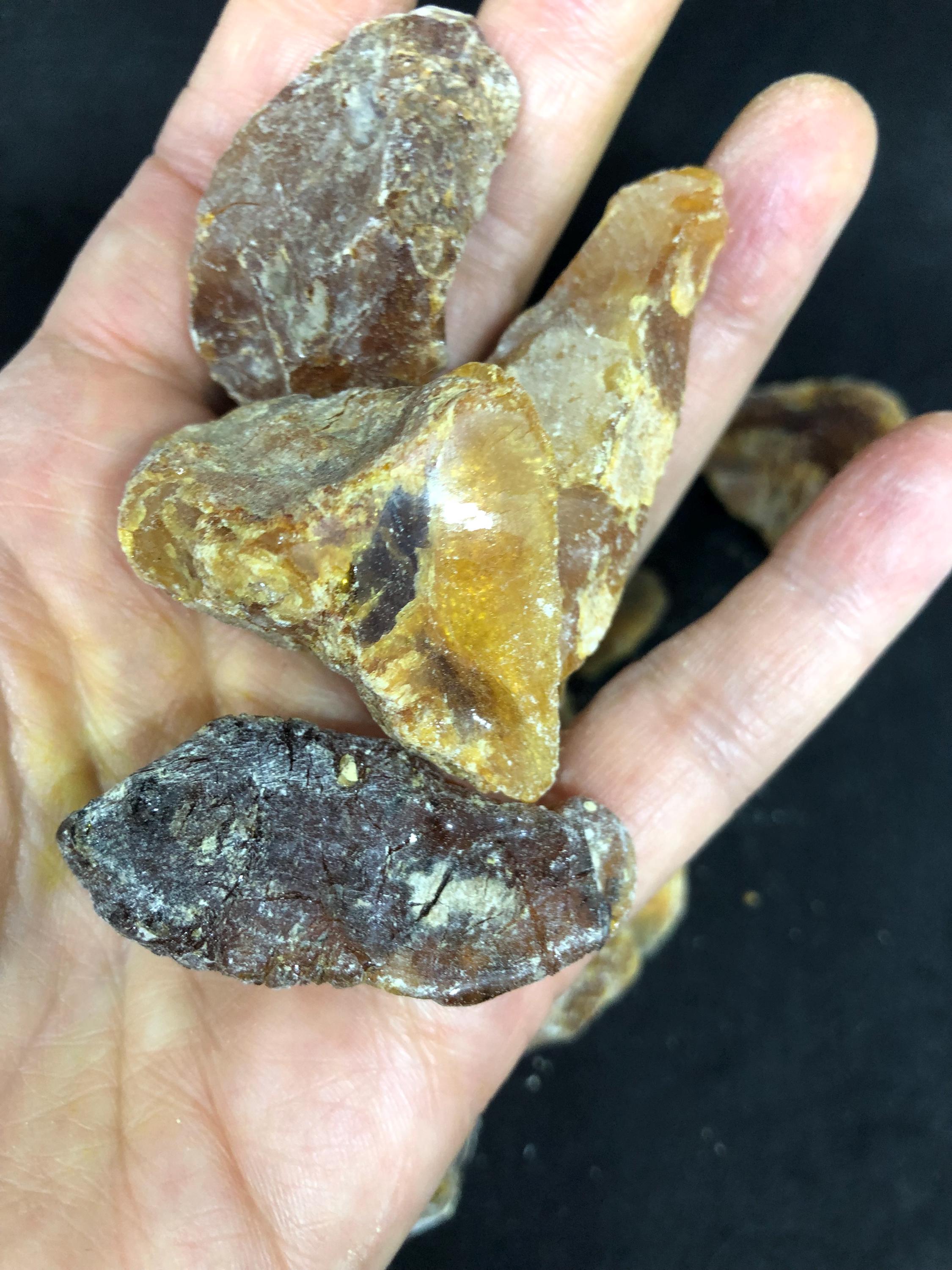 香り高き木のしずくの化石、コーパルとは？ ニュージーランド北島産