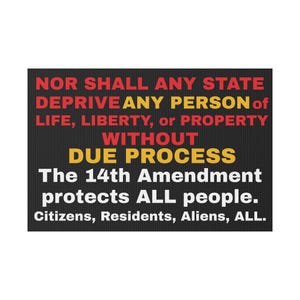 Due Process, 14th Amendment Art, Civil Rights, Constitution, Protect Democracy, USA, Politics, Protect Due Process, FDT