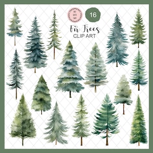 Aquarel bosbomen illustraties, pijnbomen png, dennenbos, bosbomen, individuele bomen, sparren png, bos illustraties, aquarel