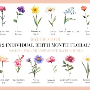 Imágenes prediseñadas de flores del mes de nacimiento, flores PNG de nacimiento, PNG floral antiguo, gráfico de ramo de flores personalizado, flores de cumpleaños, PNG floral botánico