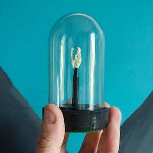 May include: A miniature glass cloche with a black base, displaying a small, white, bone-like specimen on a black stem. The cloche is set against a teal backdrop with dark grey and white painted details.