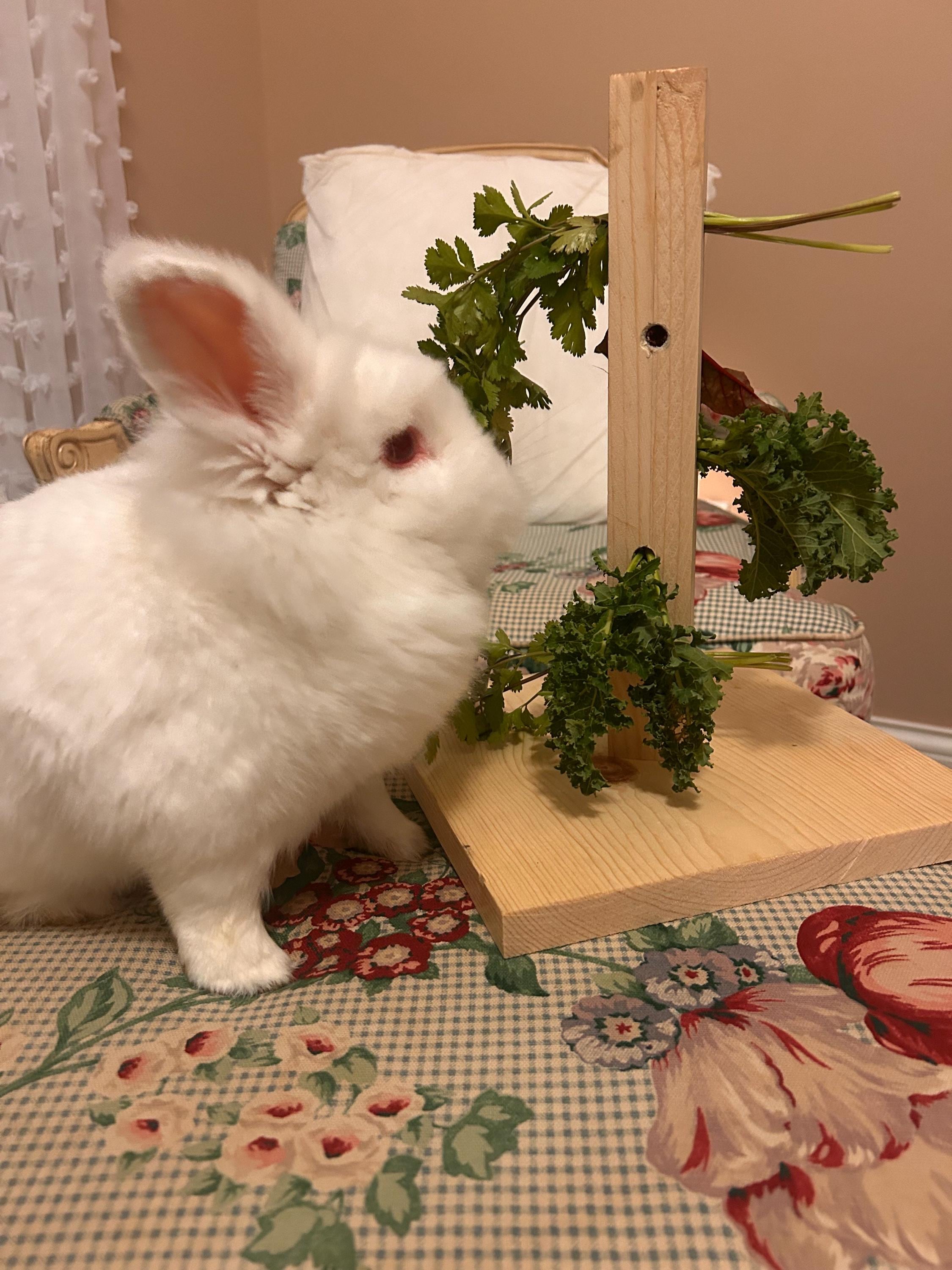 Rabbit Foraging Tower Natural Wood Treat Stand Enrichment Toy