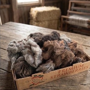 May include: A cardboard box filled with fluffy, raw wool in shades of brown, gray, and cream sits on a rustic wooden table. The box is labeled "CENTRAL WEST PRODUCE PREMIUM STRAWBERRIES". The scene suggests a craft or textile theme.