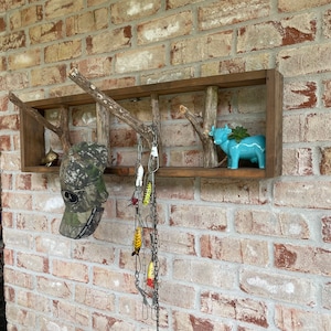 Natural Wood Wall Art, Branch Wall display shelf, Framed Tree Limbs, Natural Branches, Wall Display, Modern Rustic Wall Decor, Cabin Decor