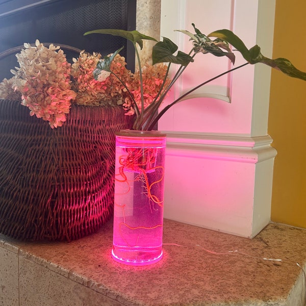 Glass Propagation Vase w/ LED Grow Light and Bamboo Plant Holder, Plant Lover Gift, Illuminated Vase, Vase Kit for Plant Cuttings