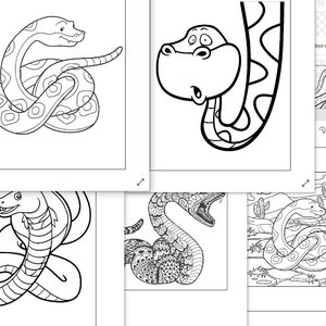 20 Fun Snake Coloring Pages for Kids . Digital Download