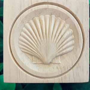 Sea Shell Rosette
