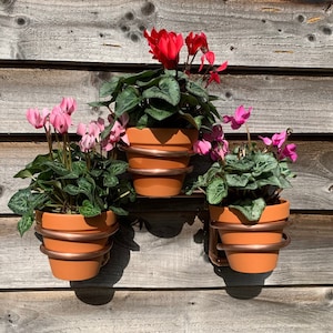 Plant pot holder, plant pot hanger, handmade copper plant holder, copper plant hanger, indoor or outdoor wall mounted plant pot hanger image 2