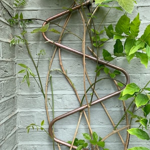 May include: A copper trellis with a vine growing up it. The trellis is made of curved copper pipes and the vine is brown with green leaves.