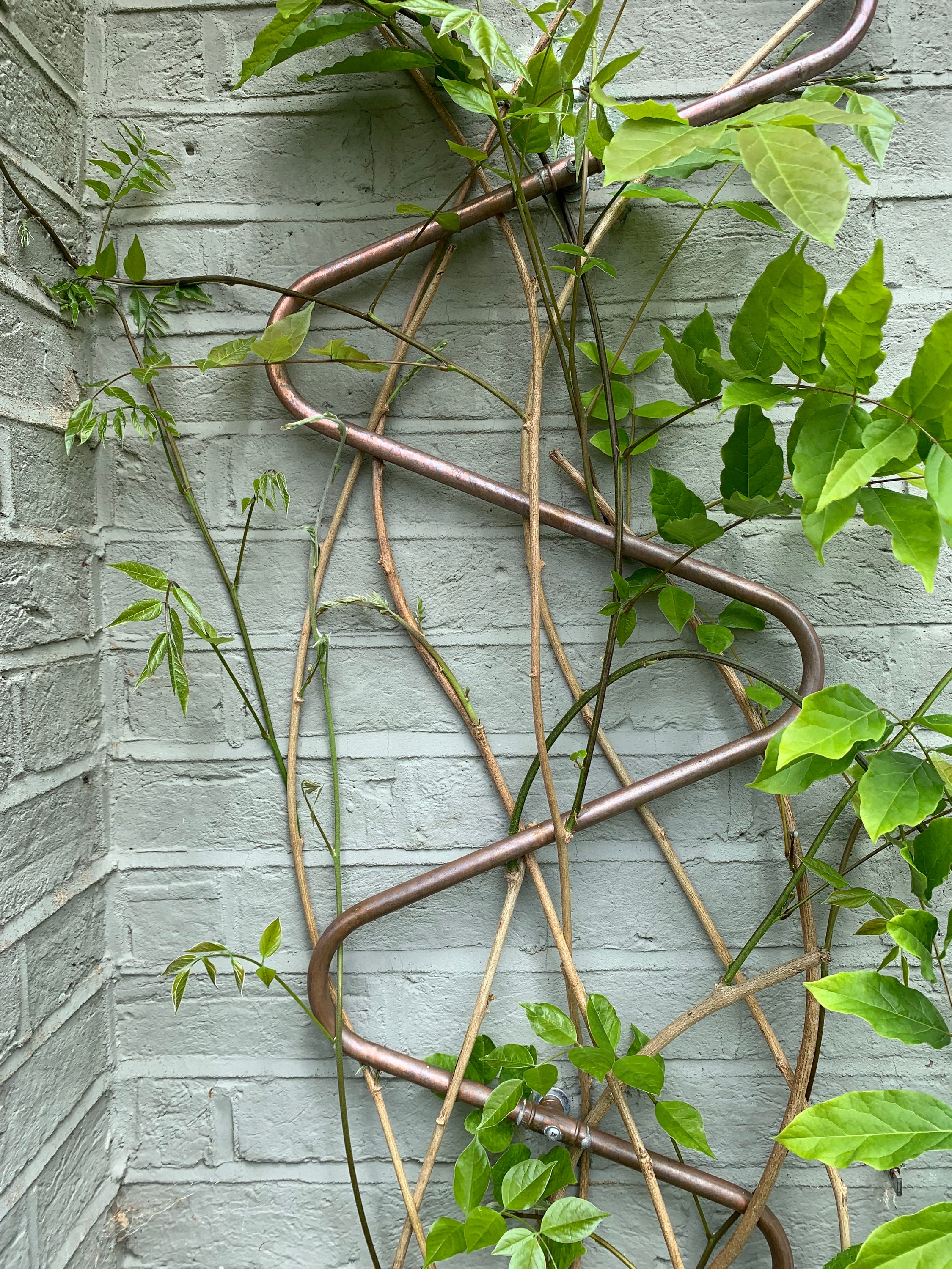 Handmade copper plant trellis Wisteria trellis Rose trellis Etsy