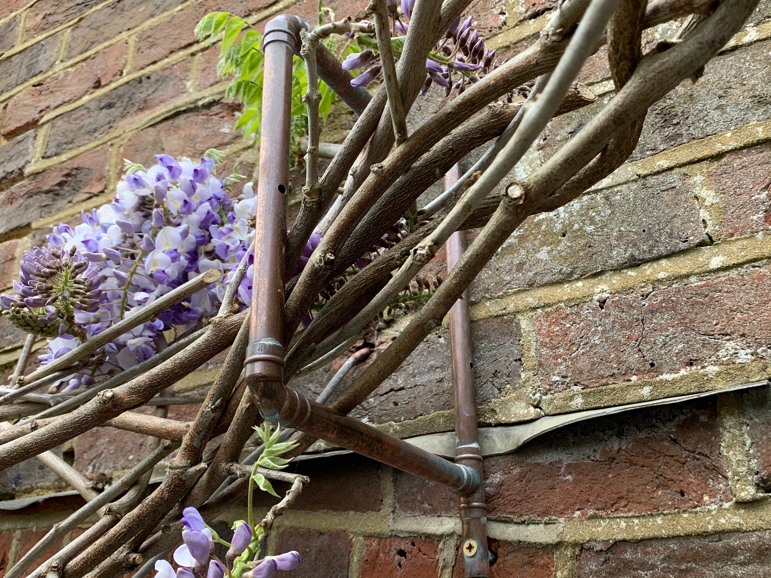 Trellis Hooks Handmade Copper Wisteria Hooks Grape Vine Etsy