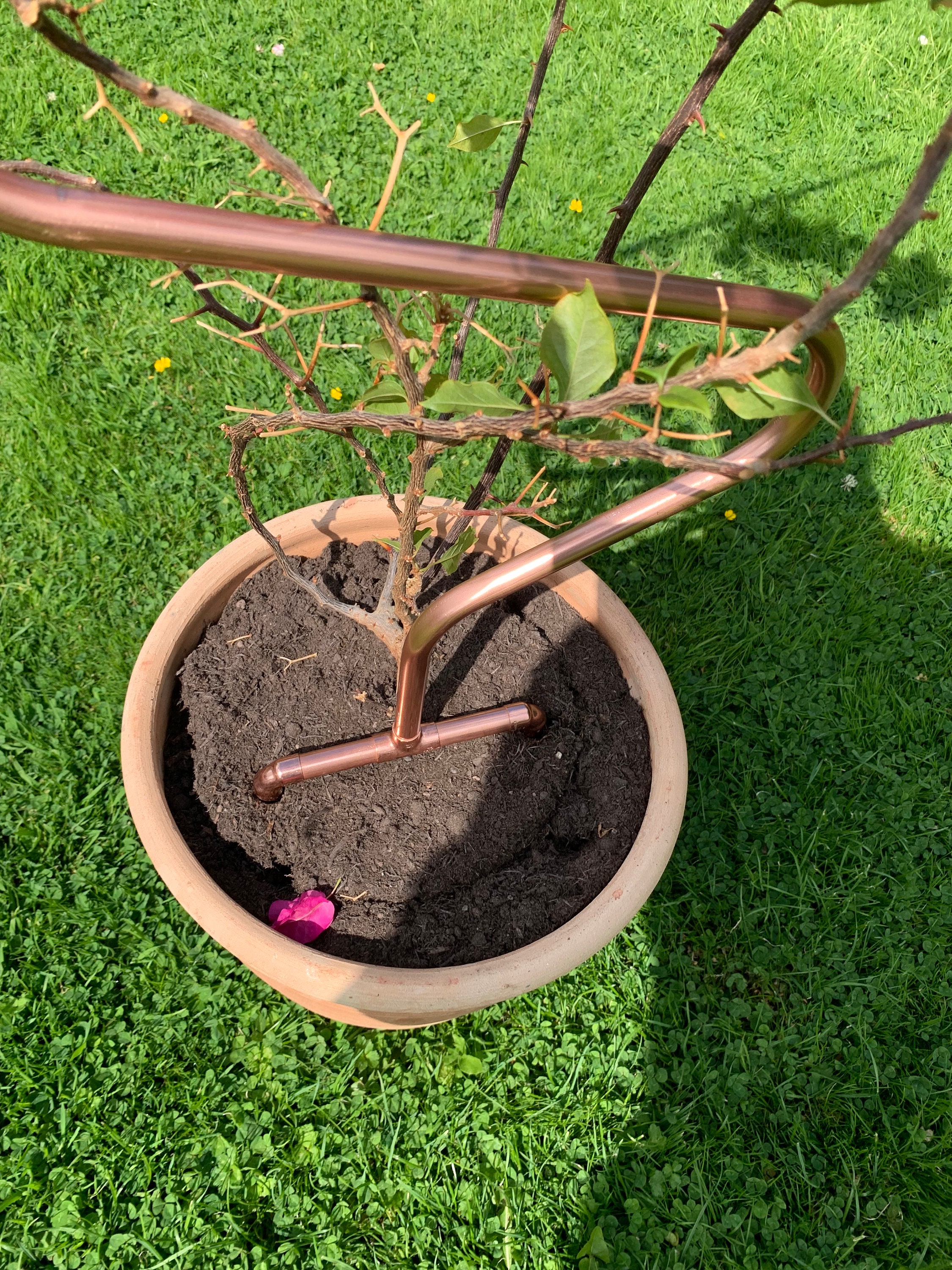 Trellis Plant Pot Trellis Handmade Copper Plant Pot Trellis Etsy