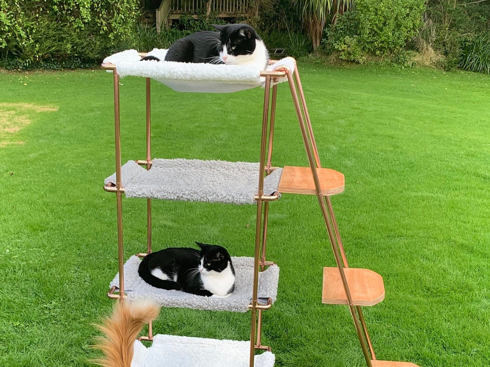 Diy elevated top cat bed