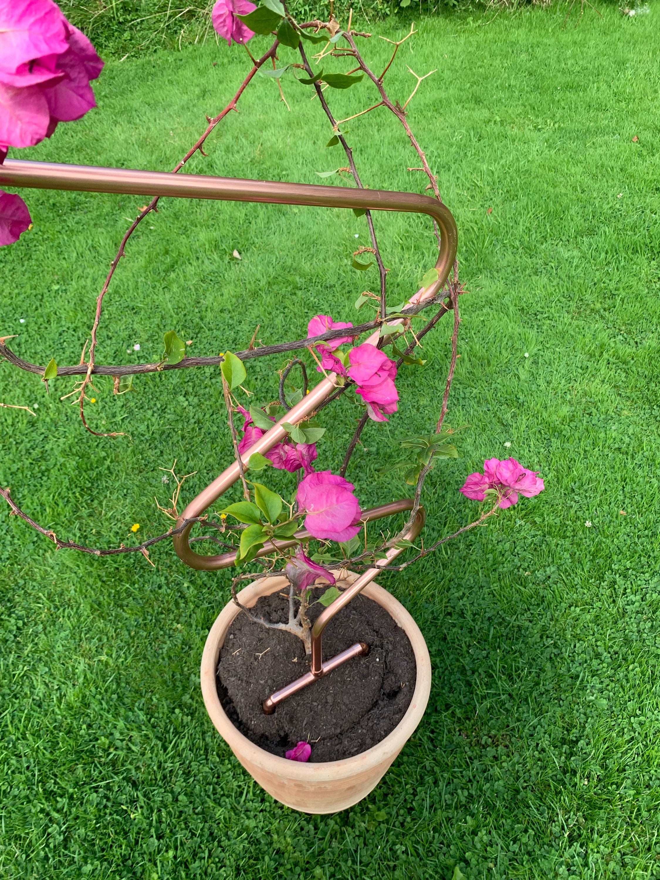 Trellis Plant Pot Trellis Handmade Copper Plant Pot Trellis Etsy