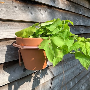 Handmade Copper Plant Pot Hanger: Indoor/Outdoor Wall Decor