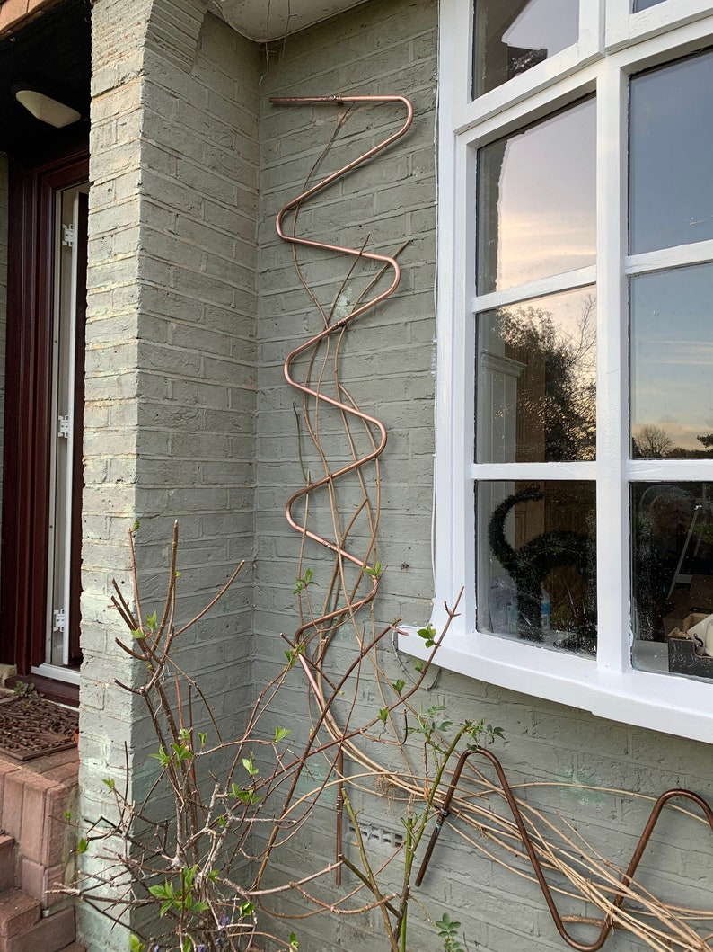 May include: A copper trellis attached to a brick wall with a small bush growing up the side. The trellis is shaped like a series of S curves.