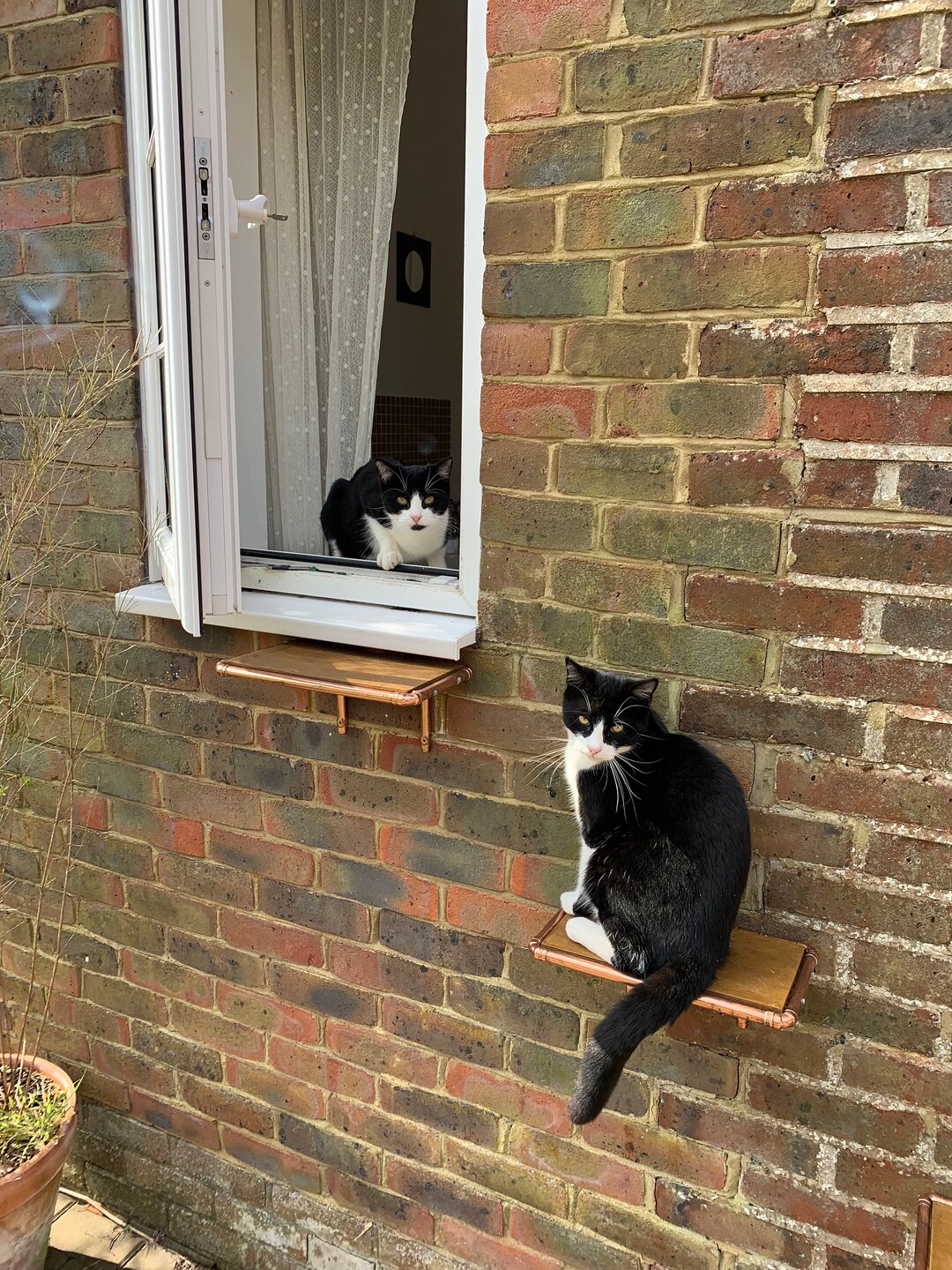 Handmade Copper Cat Steps: Indoor/outdoor Climbing Platform - Etsy