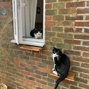 Escaleras para gatos, muebles para gatos, escaleras de cobre hechas a mano para gatos, escaleras para mascotas, estructura de escalada para gatos, cama para gatos, plataforma para gatos