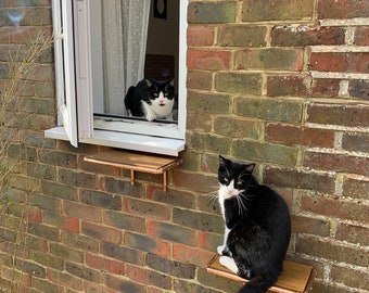 Cat steps clearance for outside wall